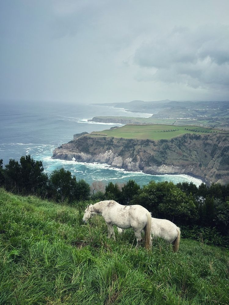 Photograph by Лидия