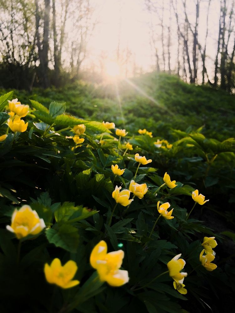 Photograph by Анна Хомутова