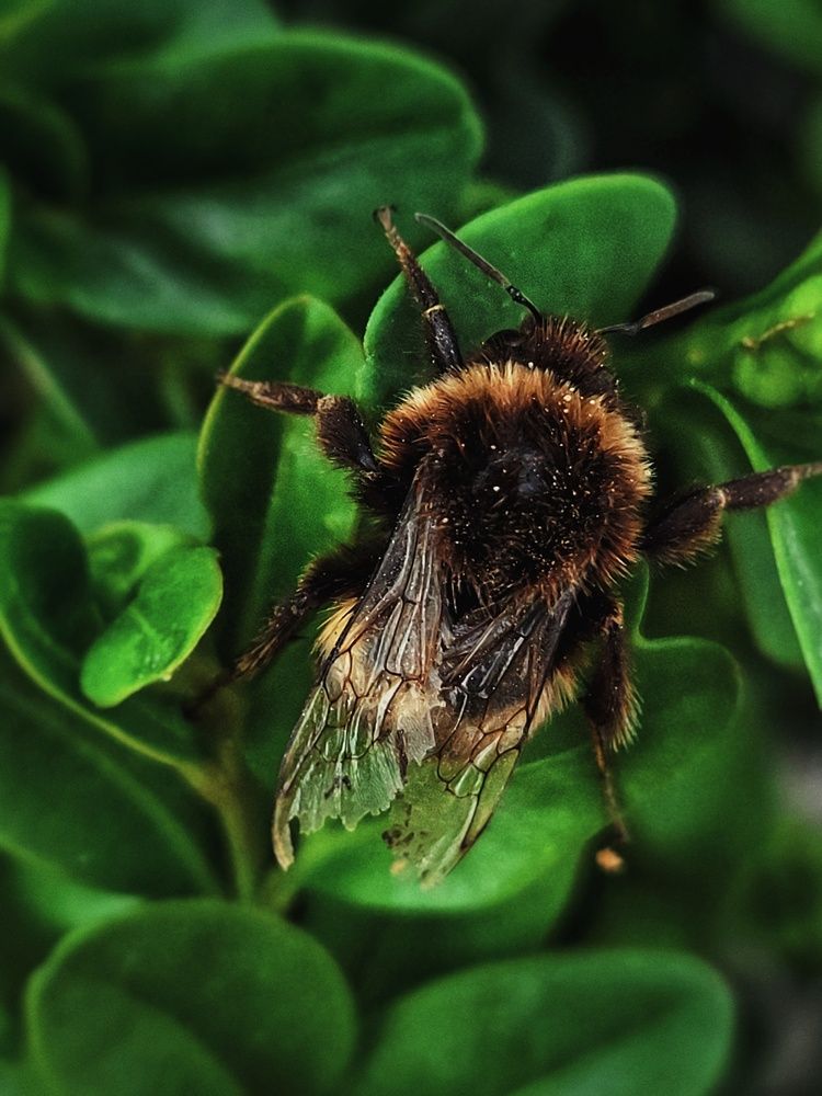 Photograph by Алина