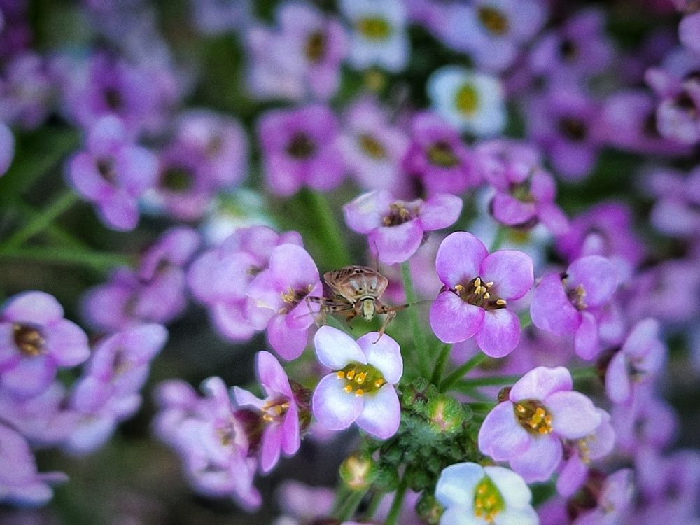 Photograph by Алина