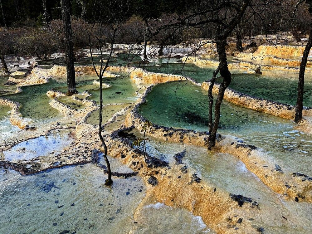 Фотография автора Natalia Kuzmina