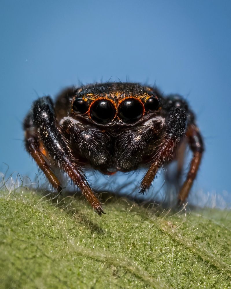 Photograph by Abolfazl Arab