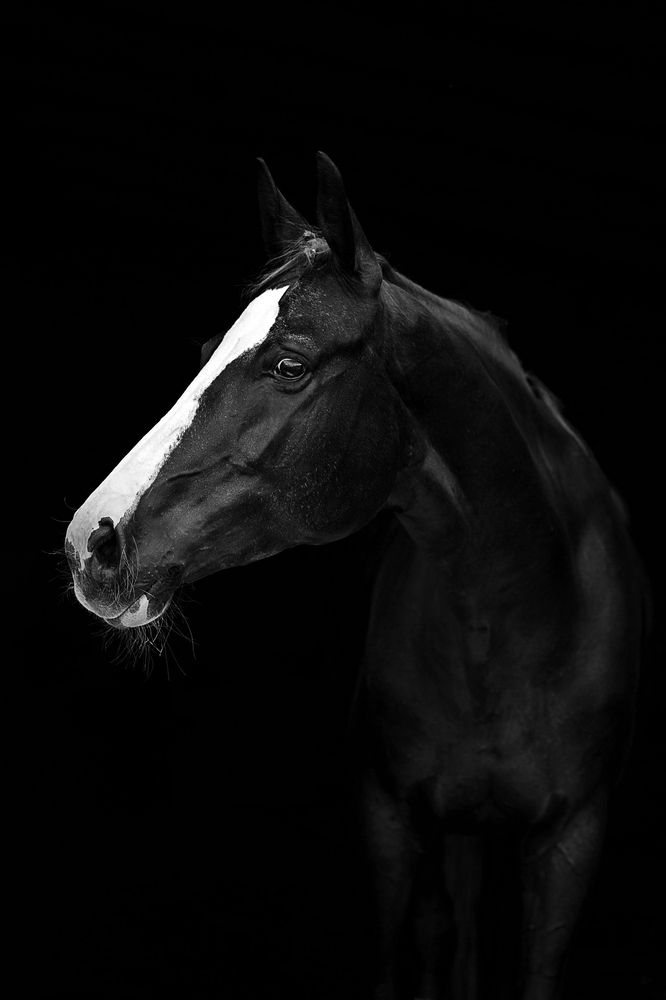 Photograph by Любовь Похабова