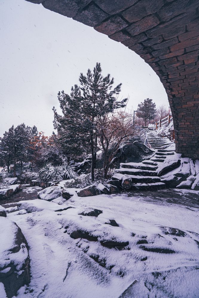 Photograph by Mohammad Amouzegar