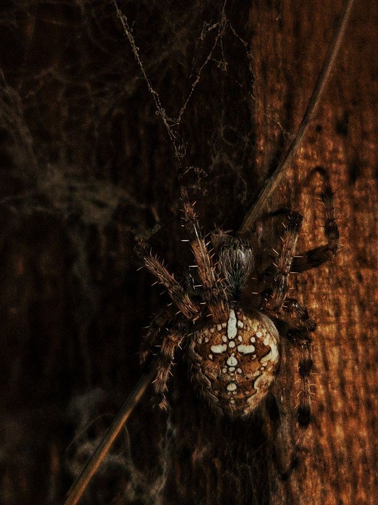 Photograph by Алина