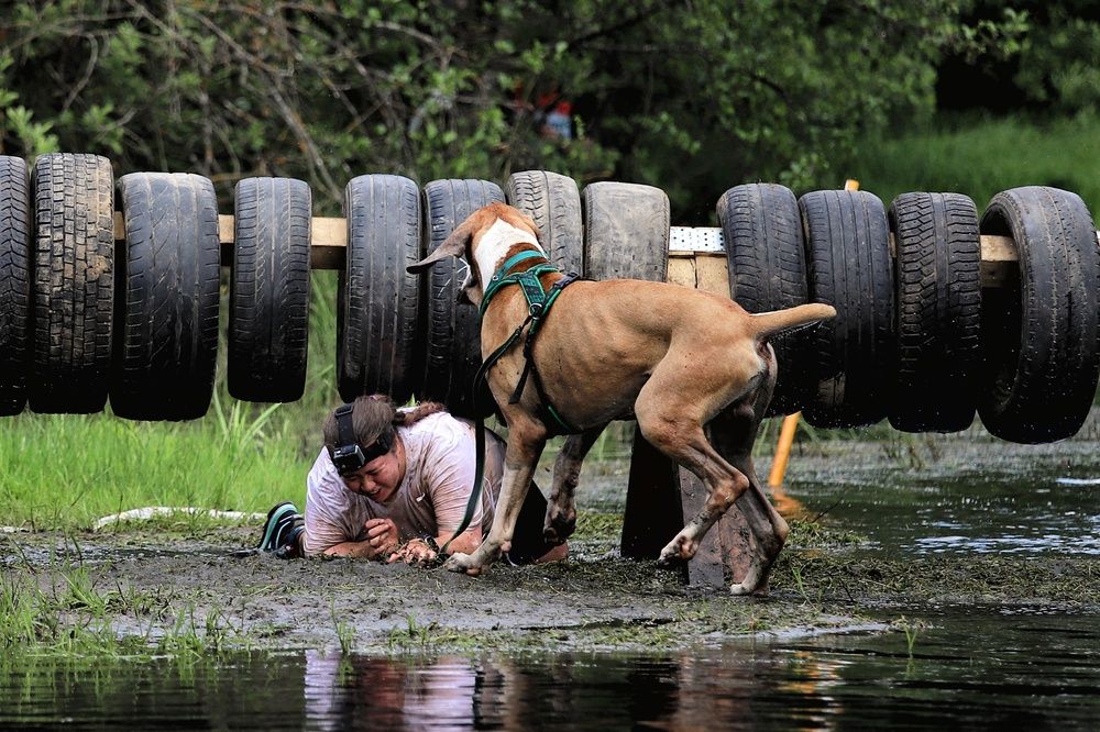 Фотография автора Елена Кириллова