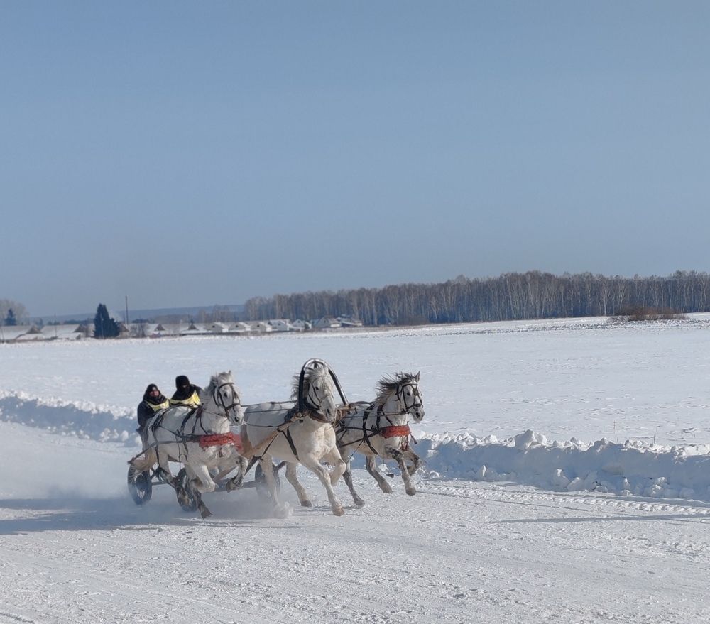 Photo #12007754