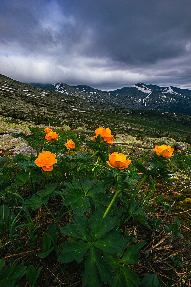 Photograph by Александр Жариков