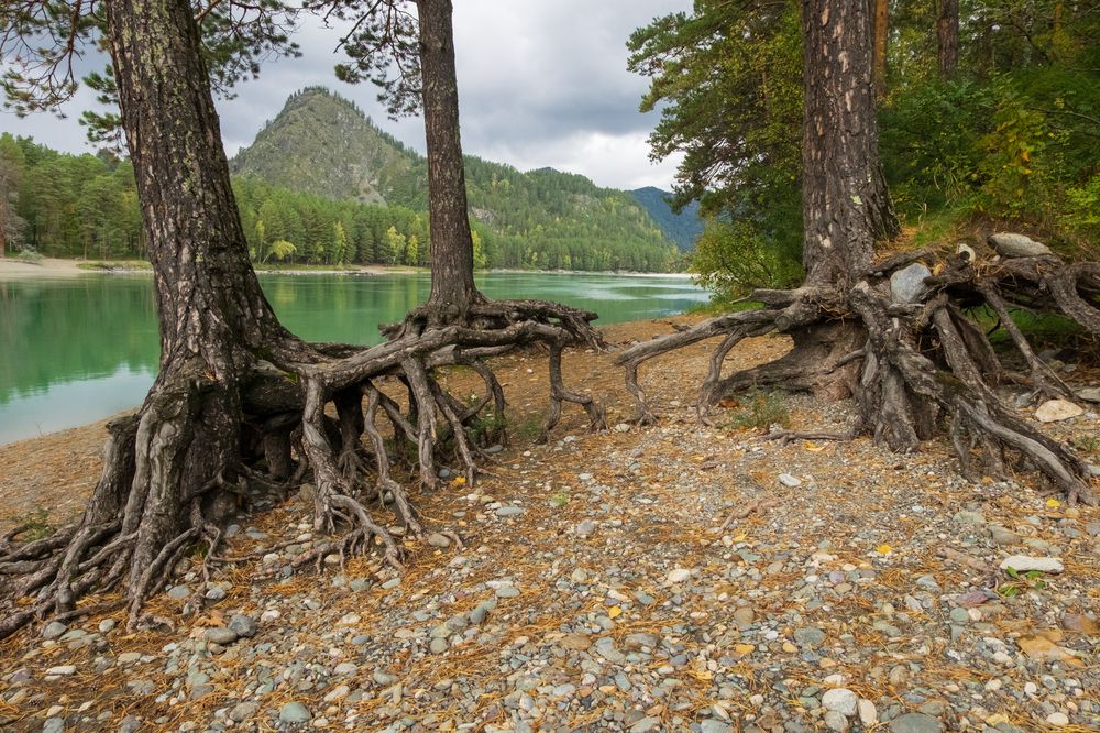 Photograph by Наталья Кулемина