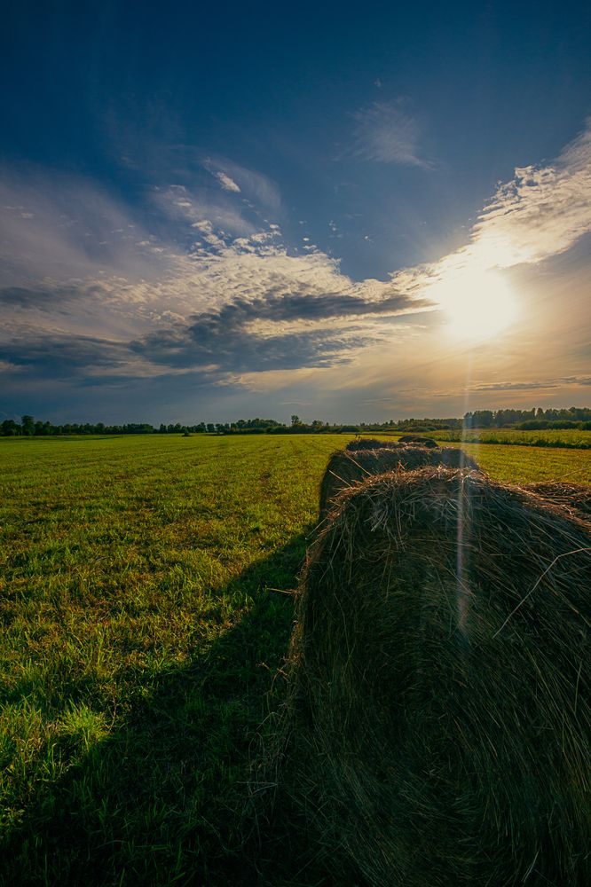 Photograph by Александр Жариков