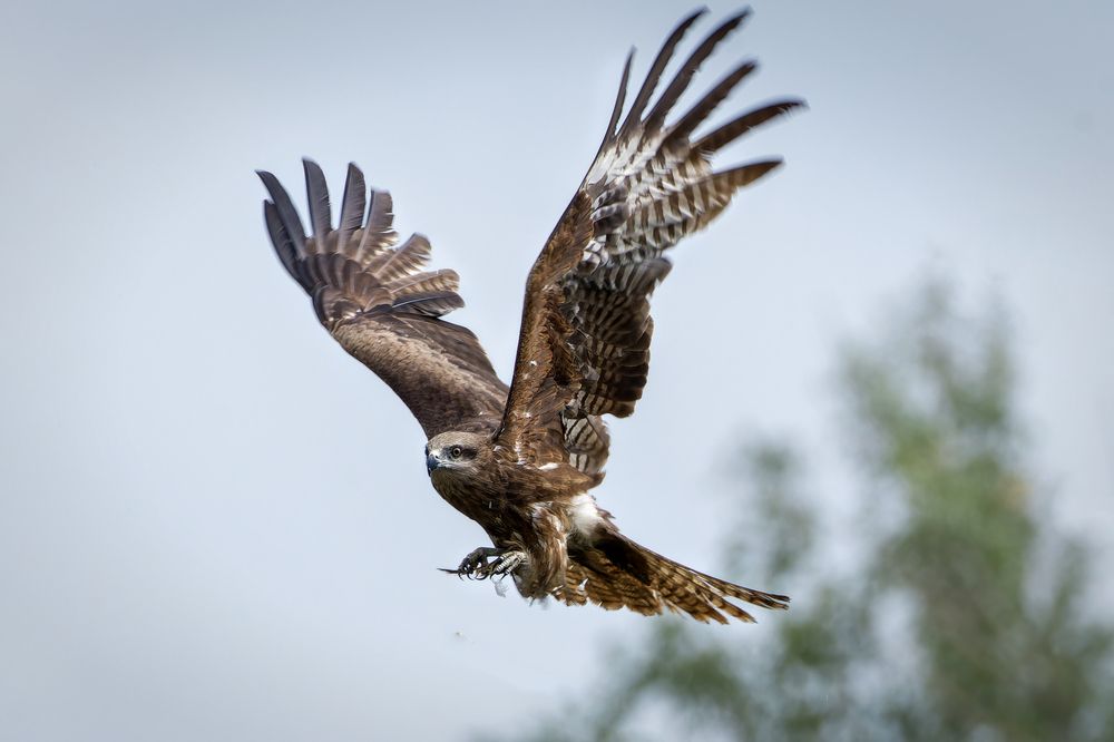 Photograph by Александр Перегудов