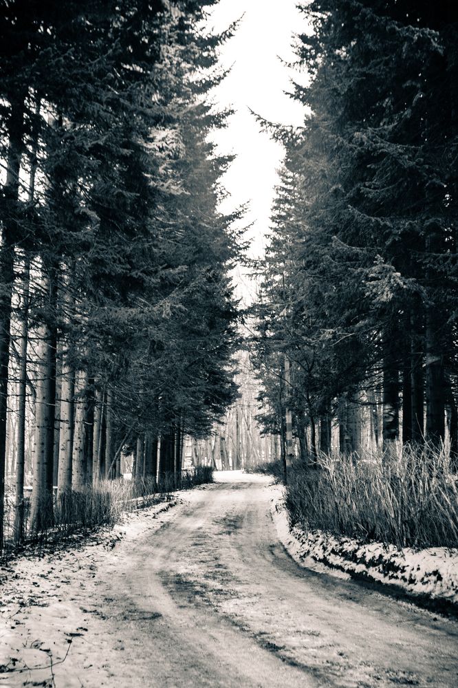 Photograph by Виктор