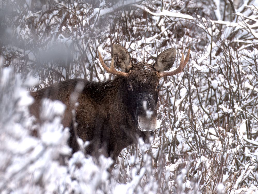 Photograph by Виктор Павлов