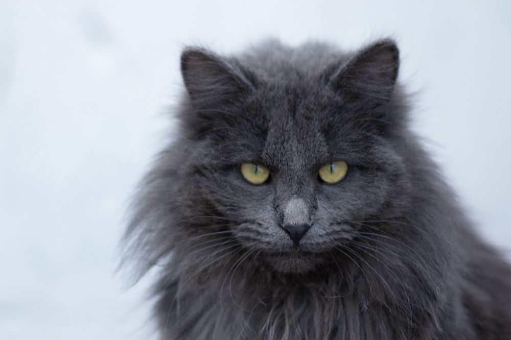 Photograph by Александр Канцур