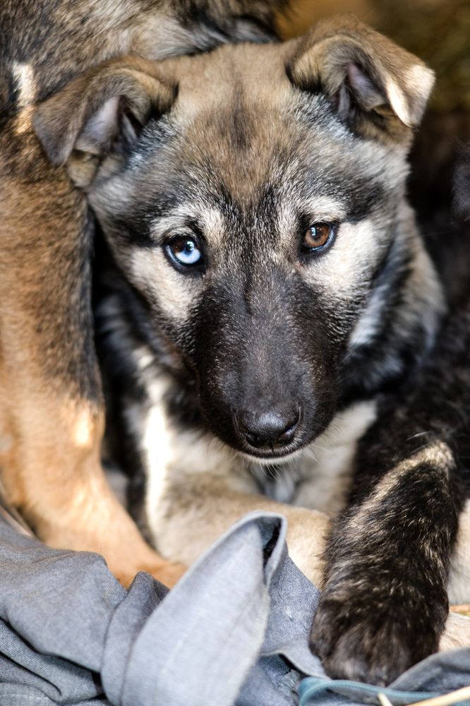 Photograph by Оксана