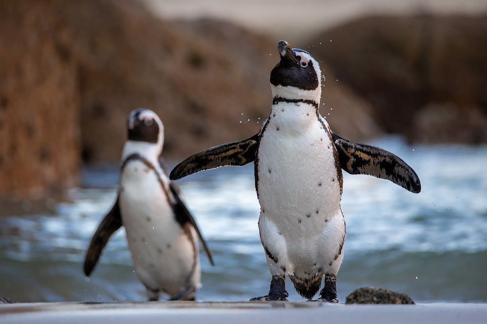 Photograph by Сергей Савви