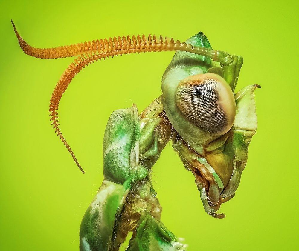 Photograph by Abolfazl Arab