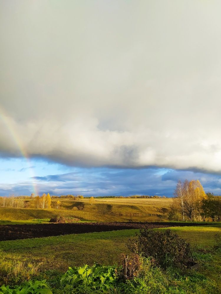 После дождичка...