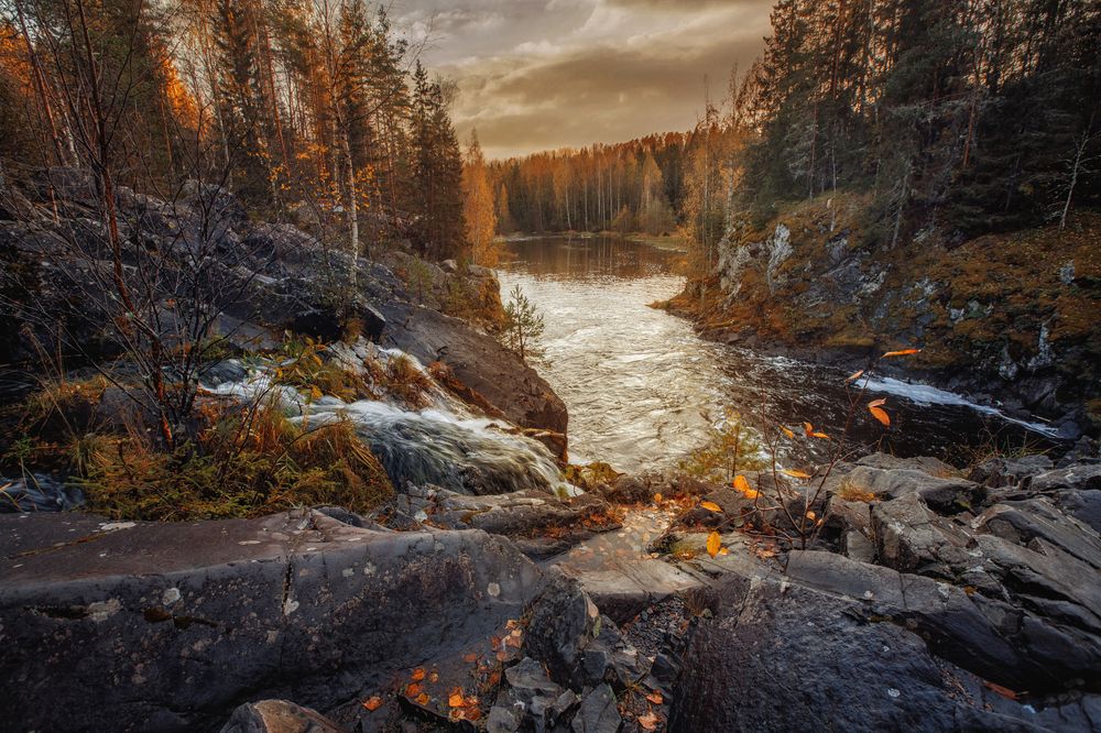 Фотография автора Онучина Юлия