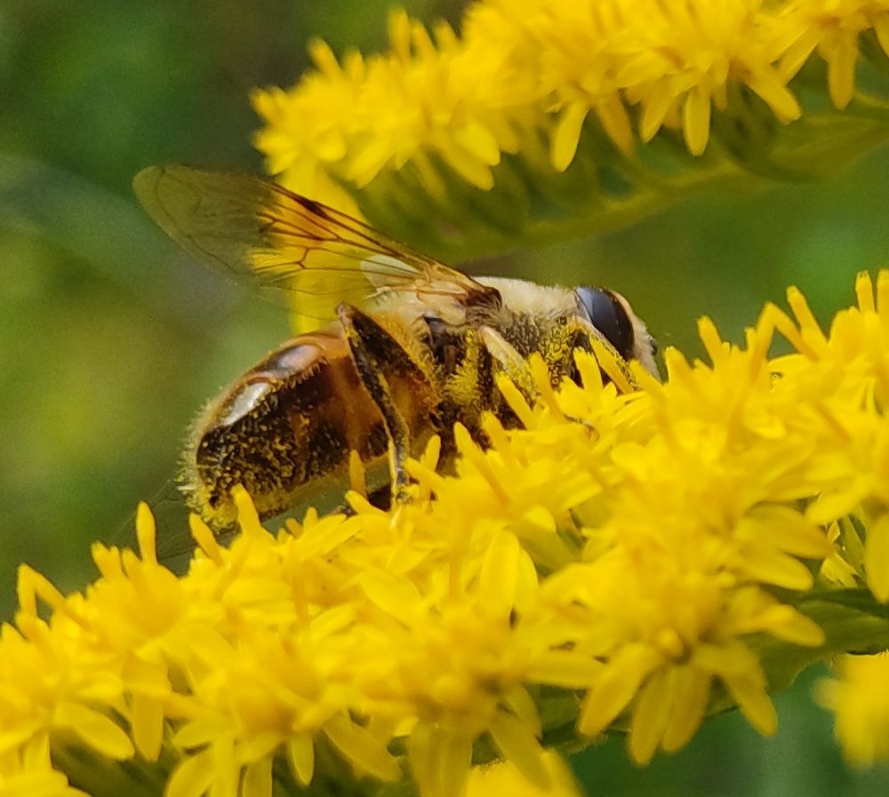 Photograph by МАрина Соловьева