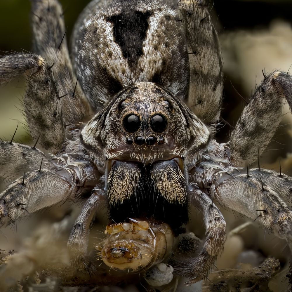 Photograph by Paul Irvine