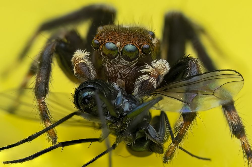 Photograph by Paul Irvine