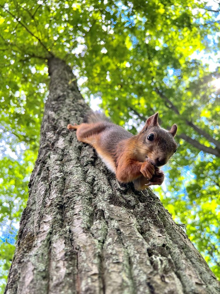 Photograph by Elvira