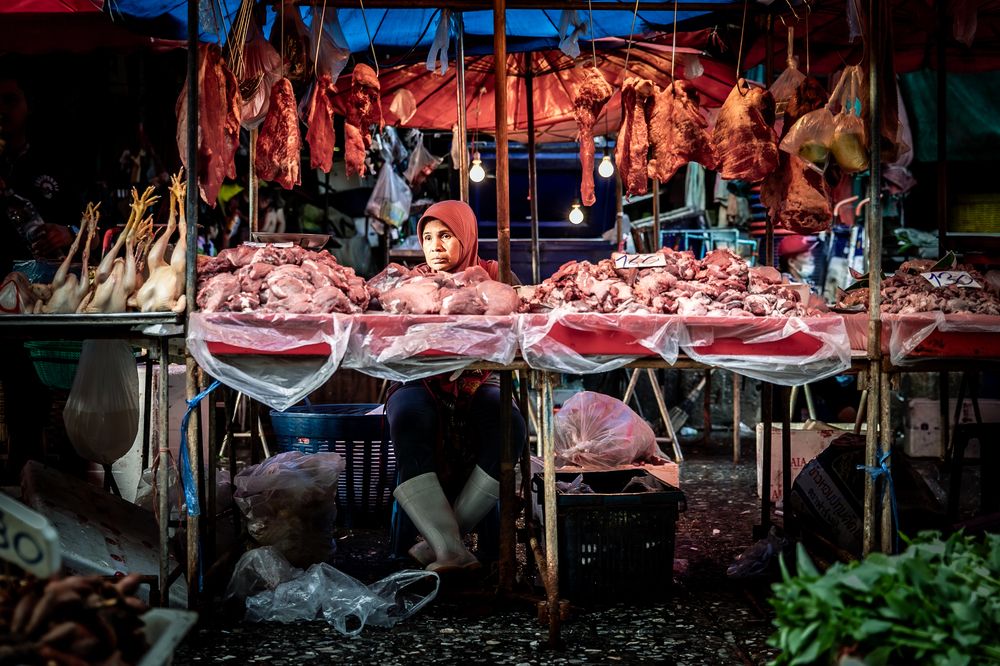 Фотография автора Wonjin Han