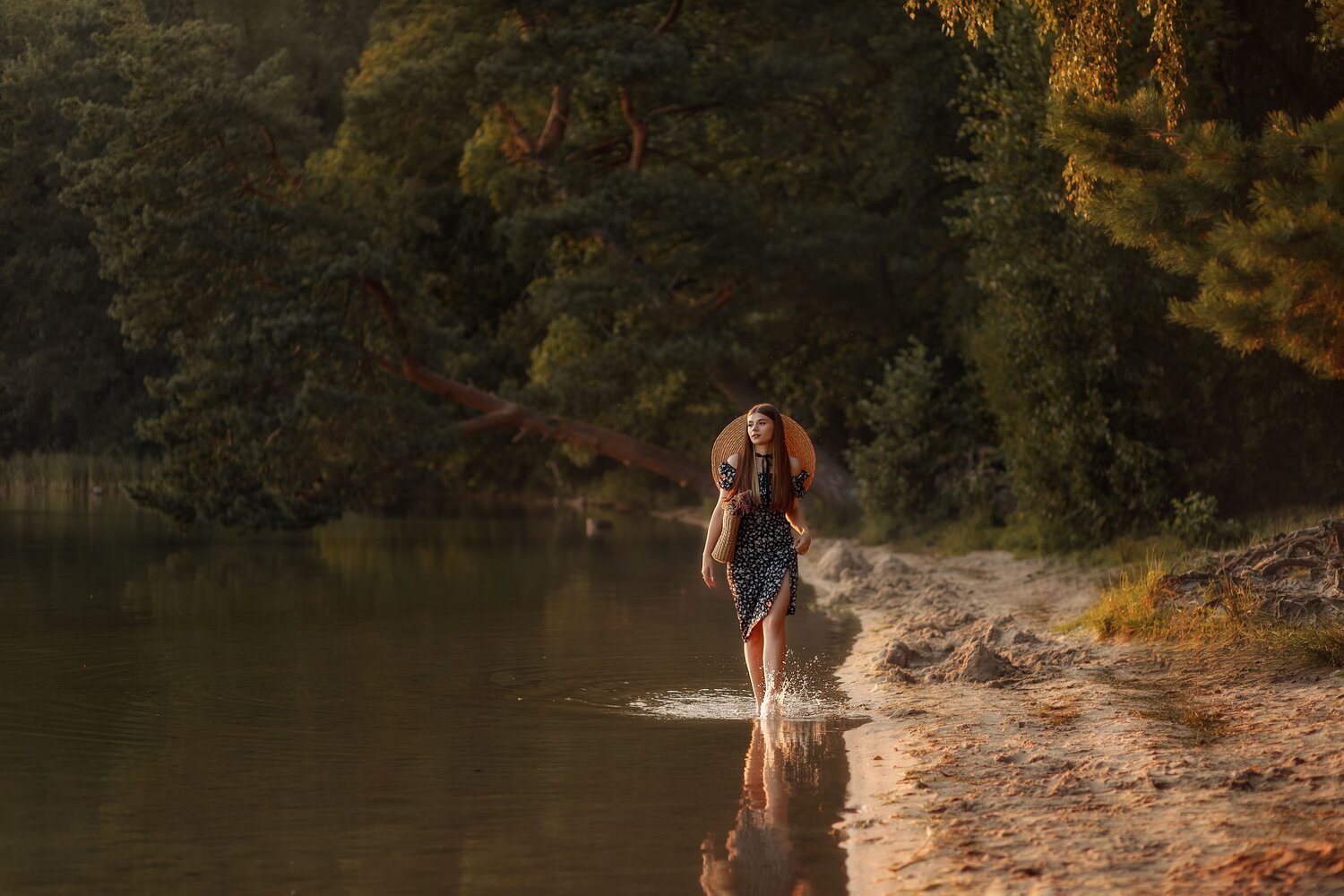 Photo #12008338