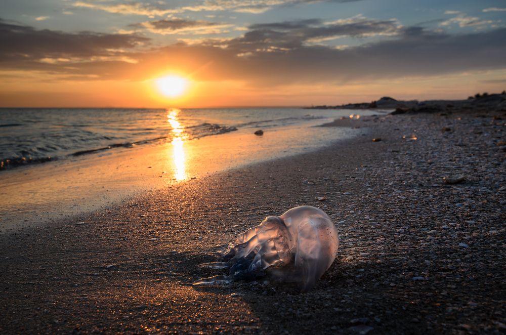 Photograph by Павел Сидоров