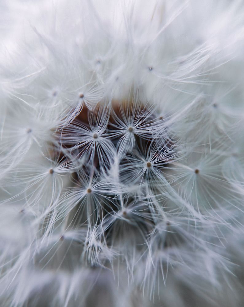 Photograph by Наталья