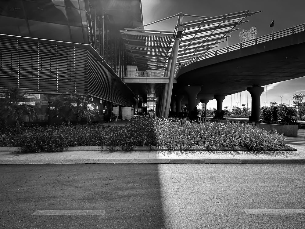 Photograph by Hoai Anh Dang