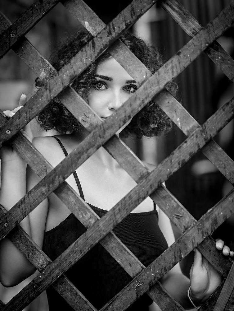 Фотография автора Георгий Шамков