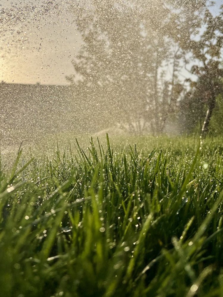 Photograph by Elvira