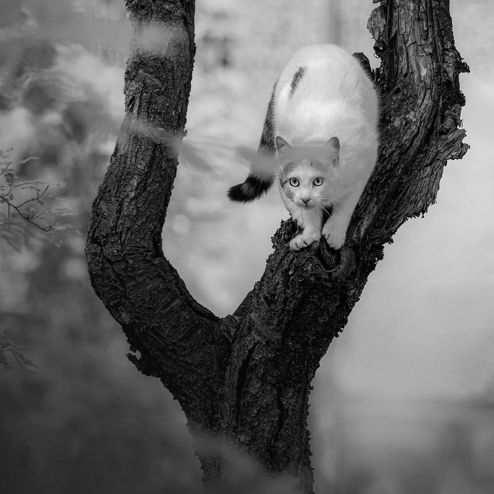 Photograph by Анжелика Титова