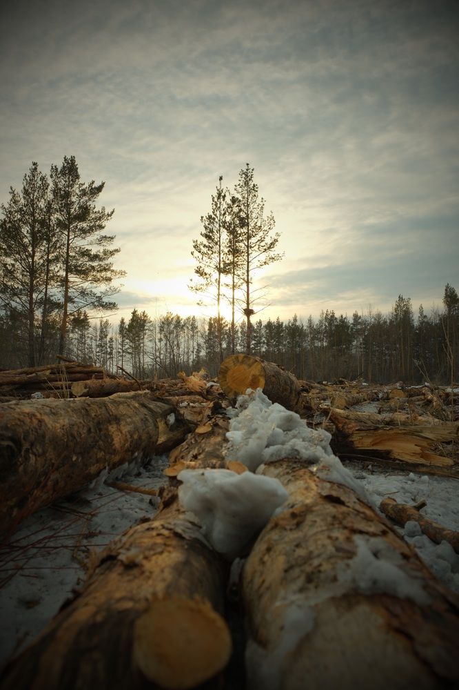 Photograph by Яна Истоцкая