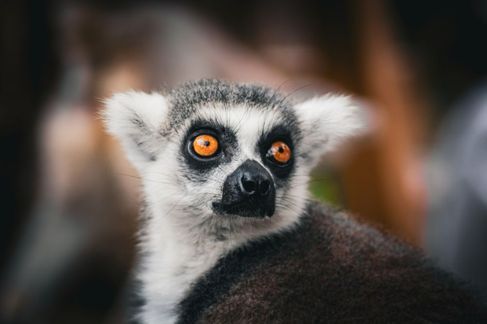 Photograph by Виктор