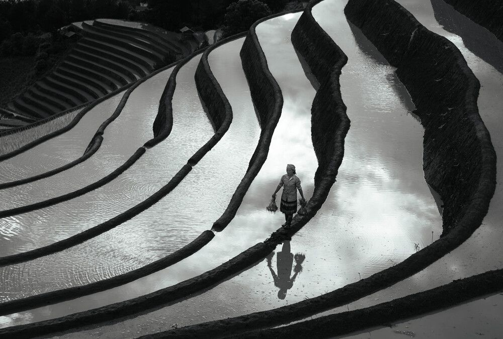 Фотография автора Lien Vu