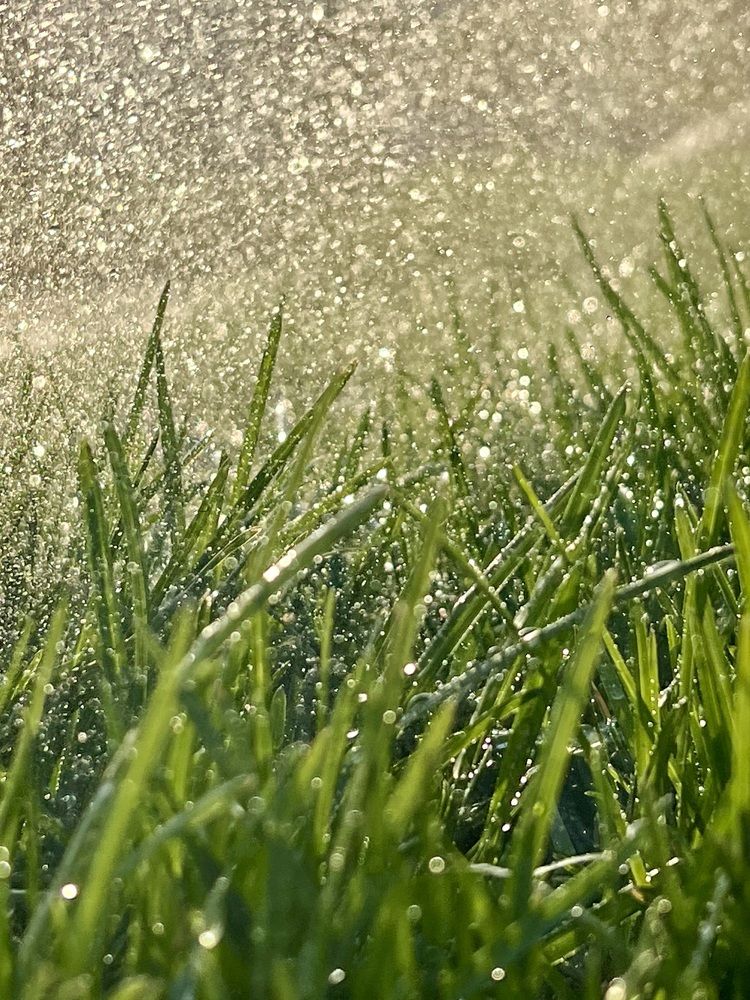 Photograph by Elvira