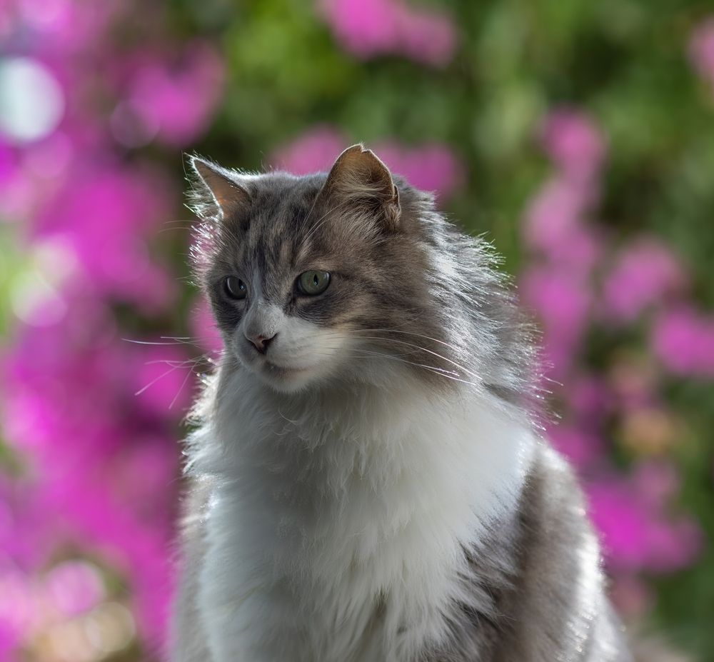 Photograph by  Дмитрий Михайлович