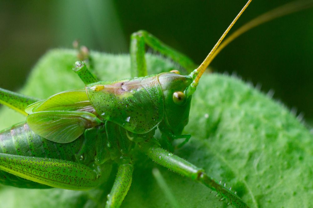 Photograph by Максим Захаров