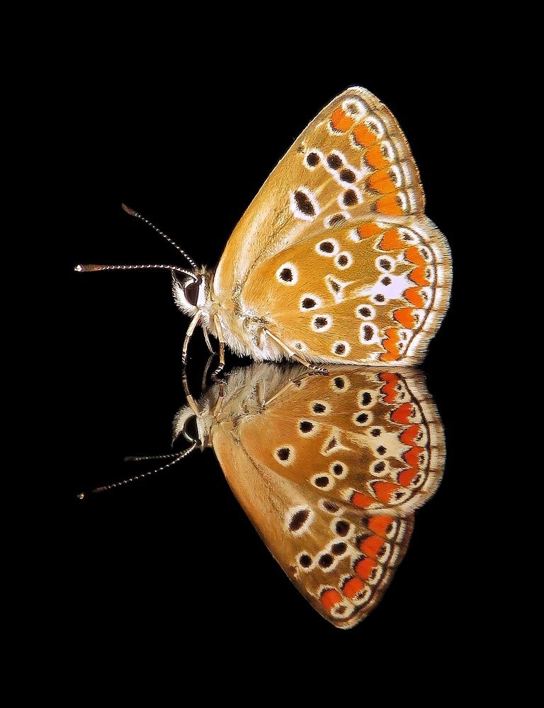 Photograph by Amin Ghaffarian