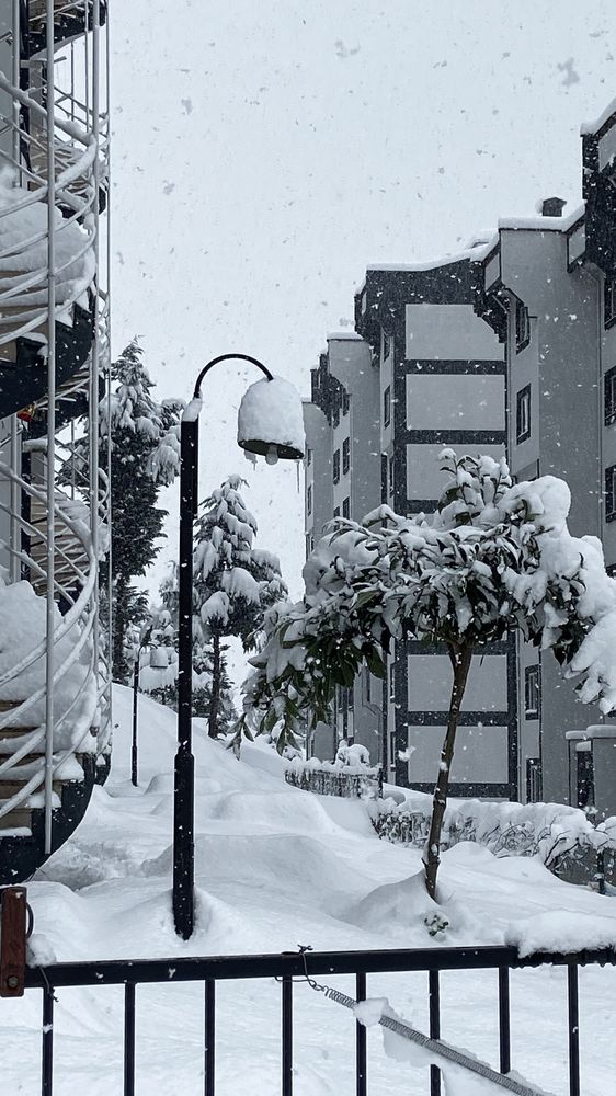 Photograph by Наталья К