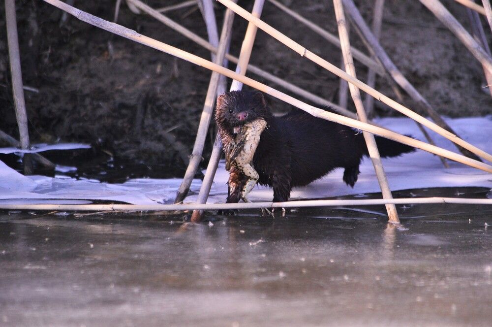 Photograph by Наталия Захарова