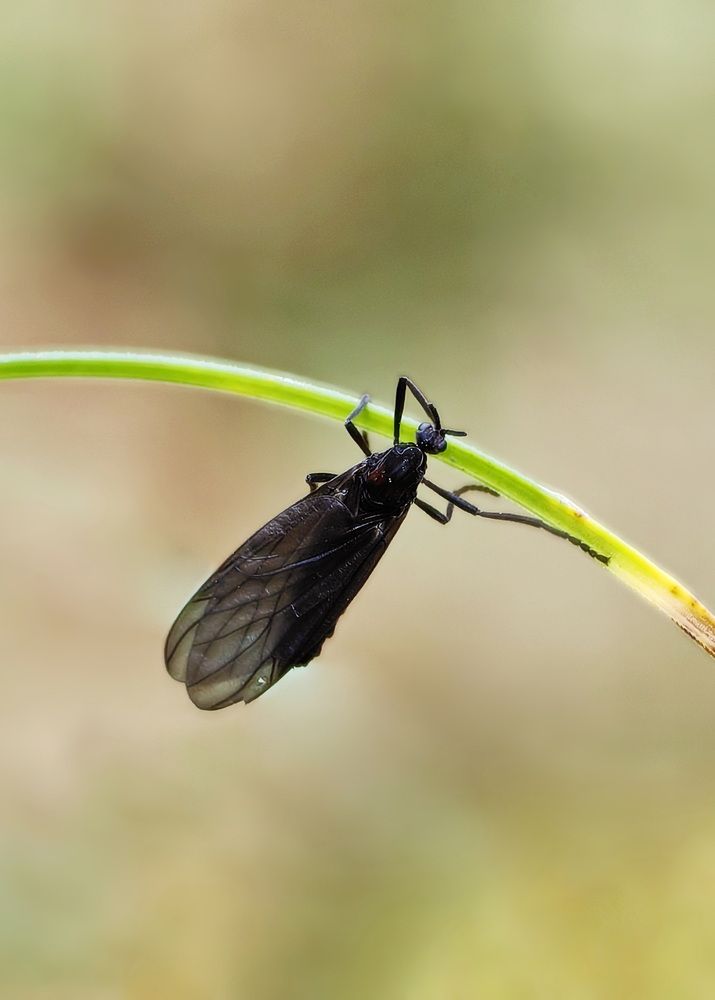 Photograph by Кристина Феминова