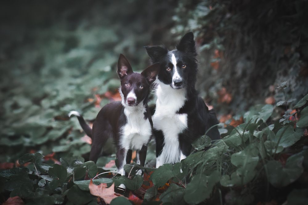 Photograph by GRISELDA FERNANDEZ