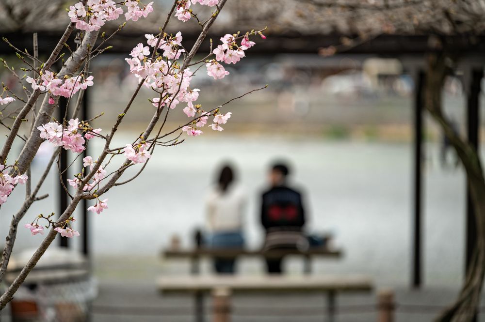 Photograph by Борис Недосеков