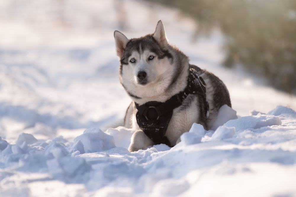 Photograph by Тамара Вотинцева
