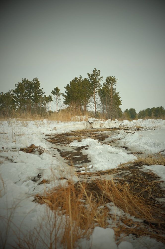 Photograph by Яна Истоцкая