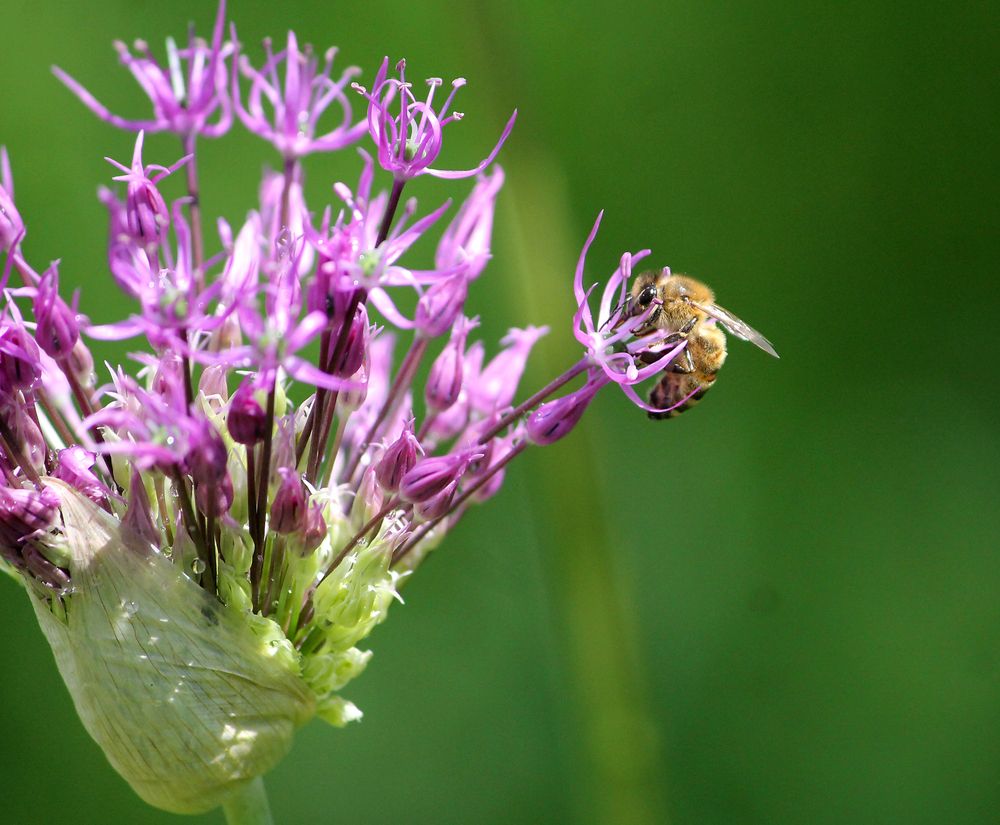 Photograph by Попова Светлана